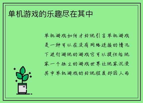 单机游戏的乐趣尽在其中